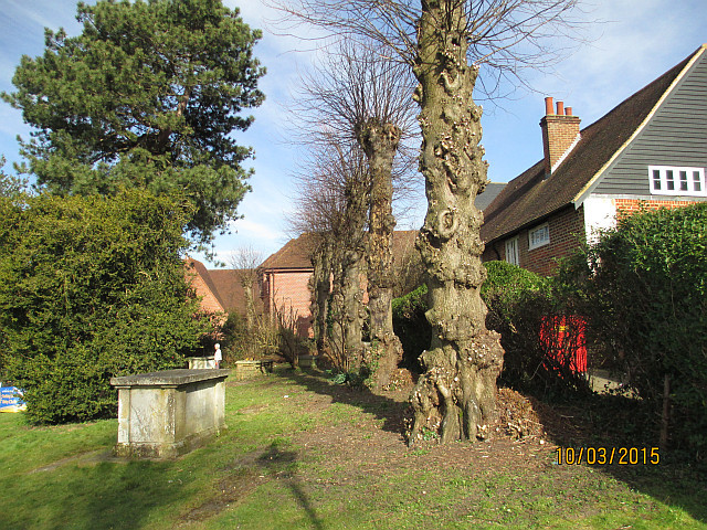 Helping clear St Martins Churchyard (1) - After (10/03/2015)  